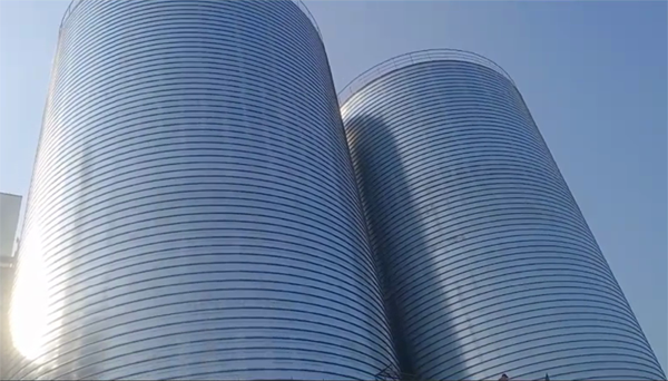 休宁2座混凝土高架卷板仓